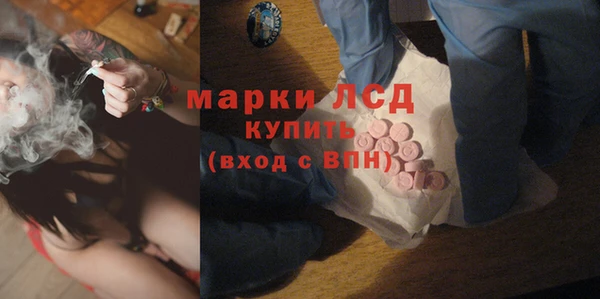 стафф Каменногорск