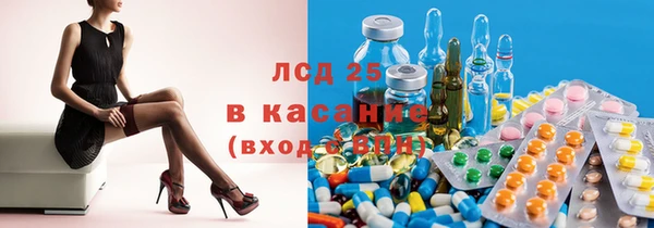 стафф Каменногорск