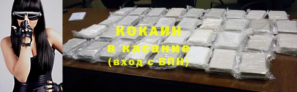 стафф Каменногорск