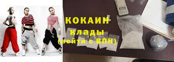 стафф Каменногорск