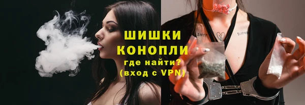 дурь Каменка