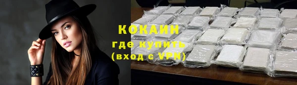 стафф Каменногорск