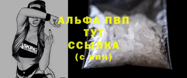дурь Каменка