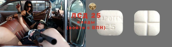 дурь Каменка