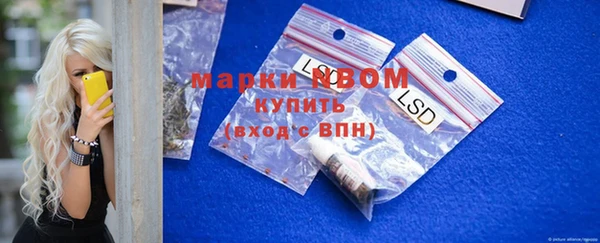 дурь Каменка