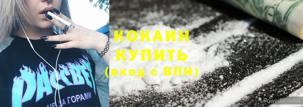 дурь Каменка