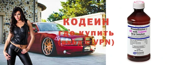 дурь Каменка