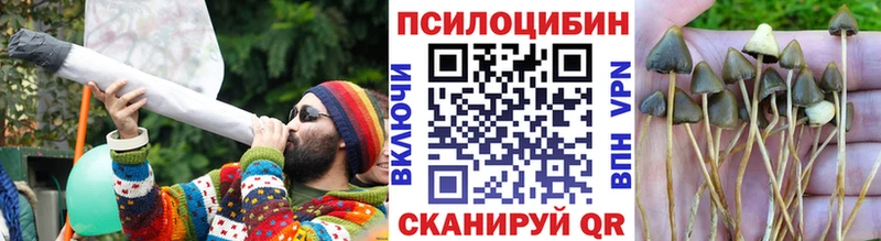 Галлюциногенные грибы MAGIC MUSHROOMS  Купить где  Курганинск 